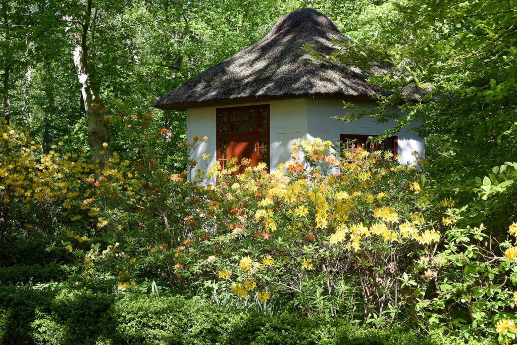 Tehuset i haven omgivet af gultblomstrende guld-azalea