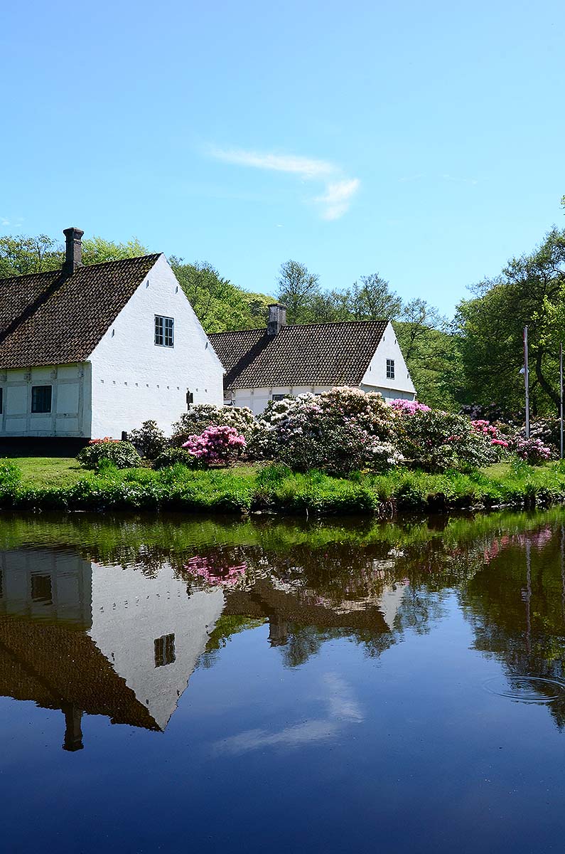 Hvide stråtækte huse spejler sig i vandet ved Voldstedet
