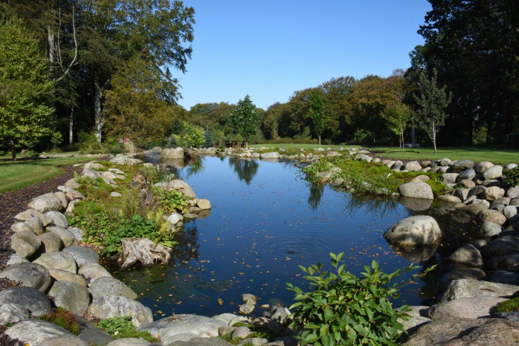 Sø med stenkant i den botaniske have en solrig septemberdag