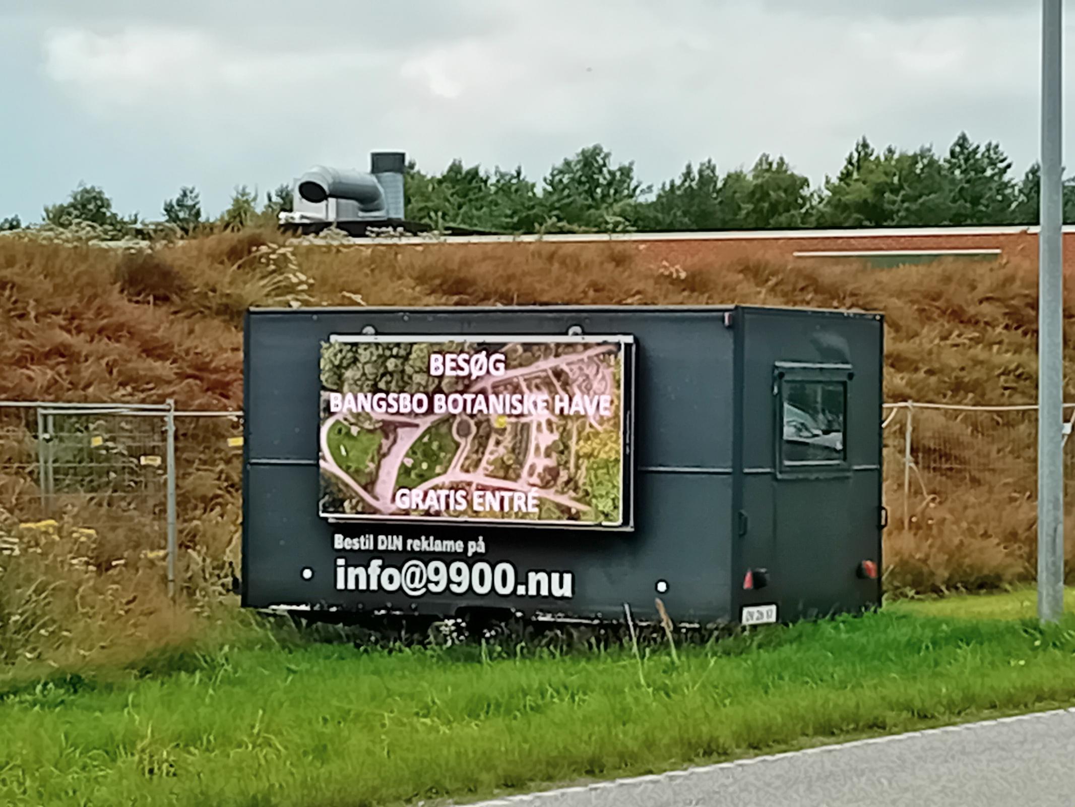 Det sker lige nu – Uge 31