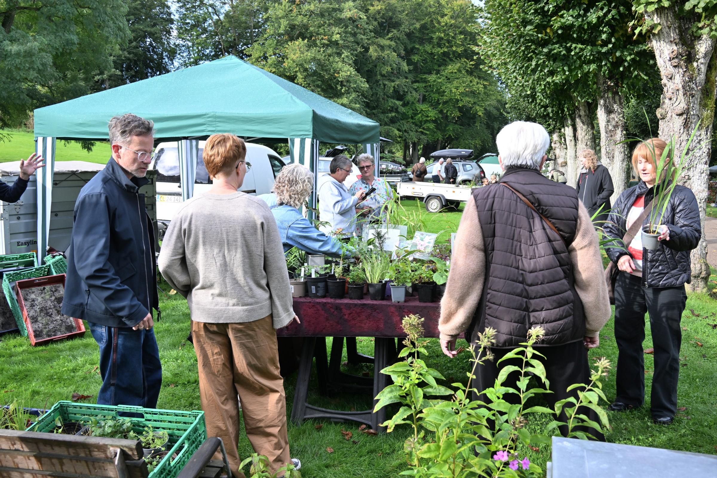 Plantemarked i Bangsbo Botaniske Have